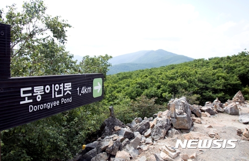 정선에코리조트 이미지
