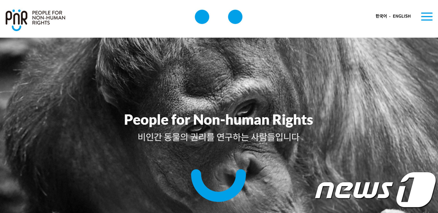 변호사박주연법률사무소 이미지