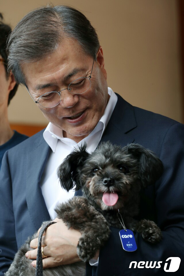 토리 이미지