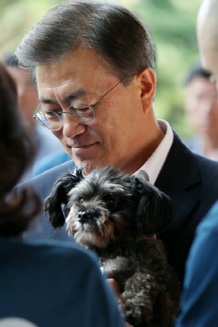 토리 이미지