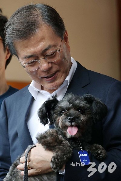 토리 이미지