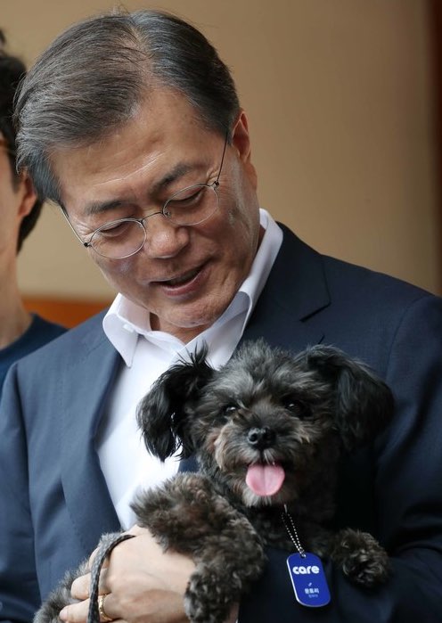 토리 이미지