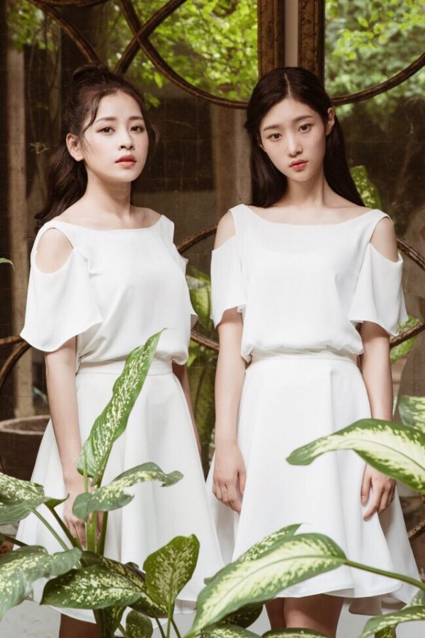 치푸 이미지