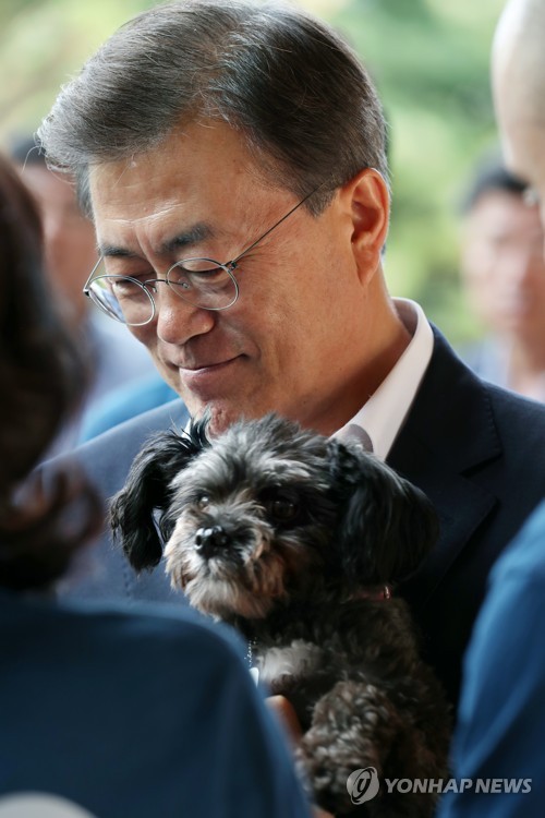 토리 이미지