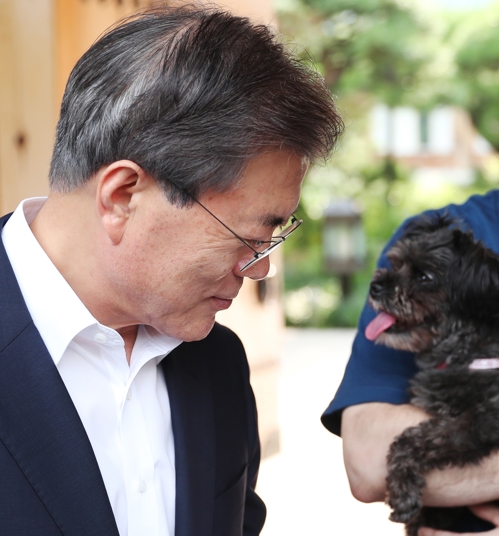 토리 이미지