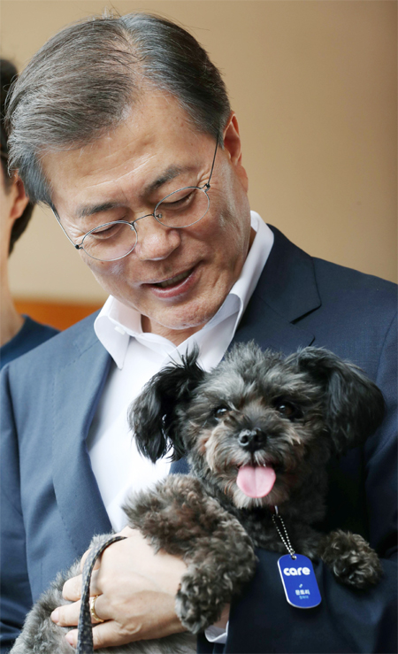 토리 이미지