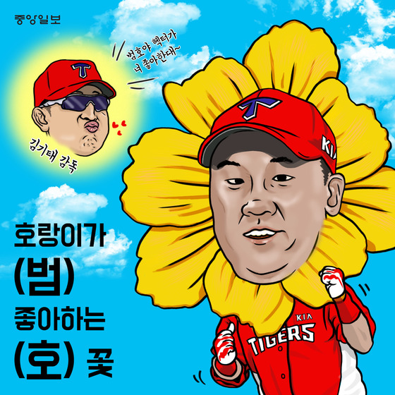 야화 이미지