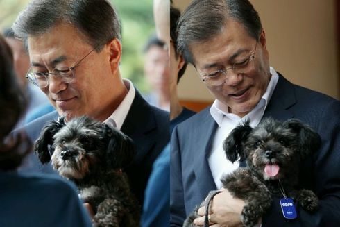 토리 이미지