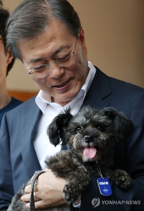토리 이미지