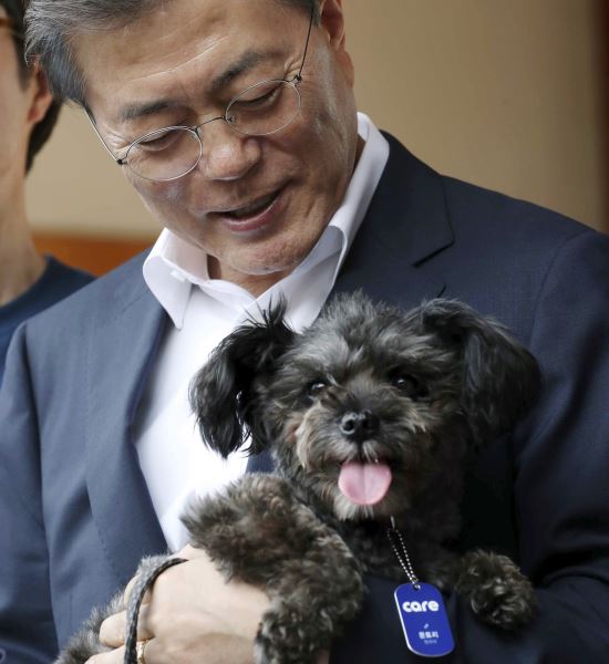 토리 이미지
