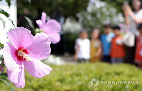 무궁화꽃이피었습니다 이미지