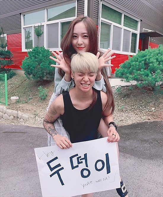 엠버 이미지