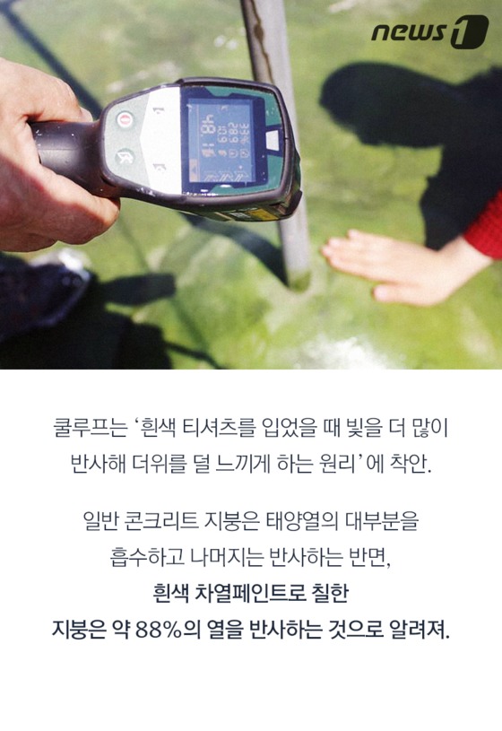 하얀지붕 이미지