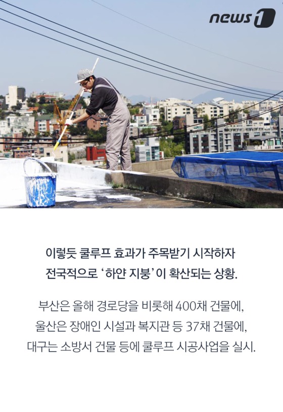 하얀지붕 이미지