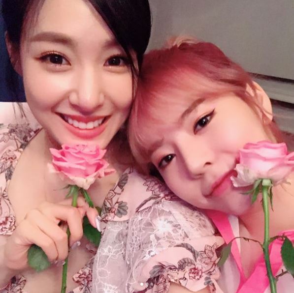 써니풀 이미지