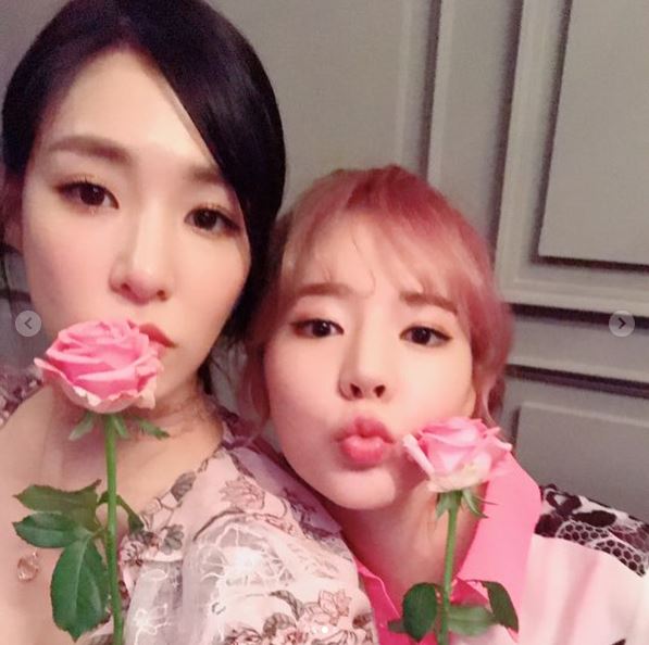 써니풀 이미지