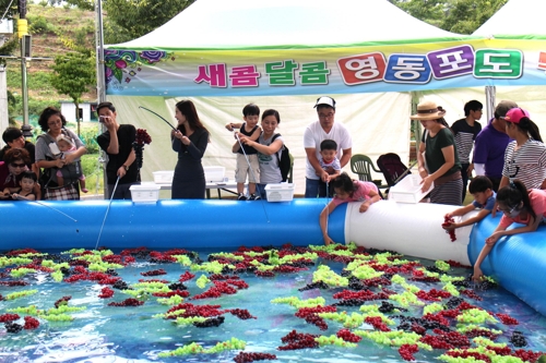 포도김밥 이미지