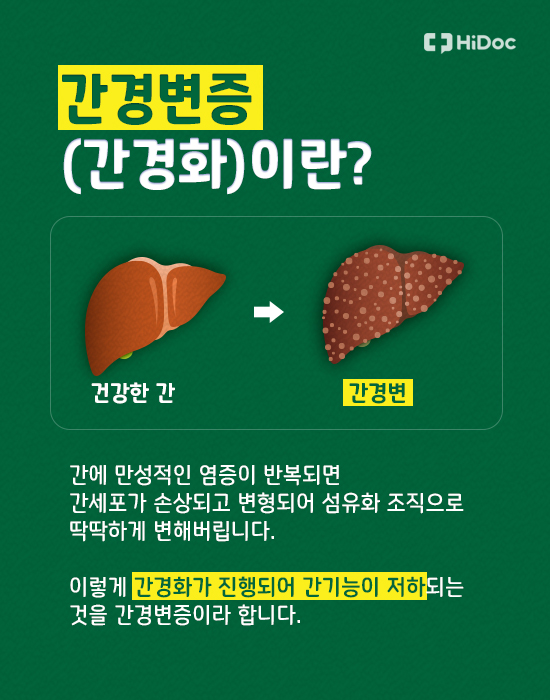 간경변증(간경화)이란?