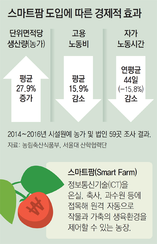 섬강식품 이미지