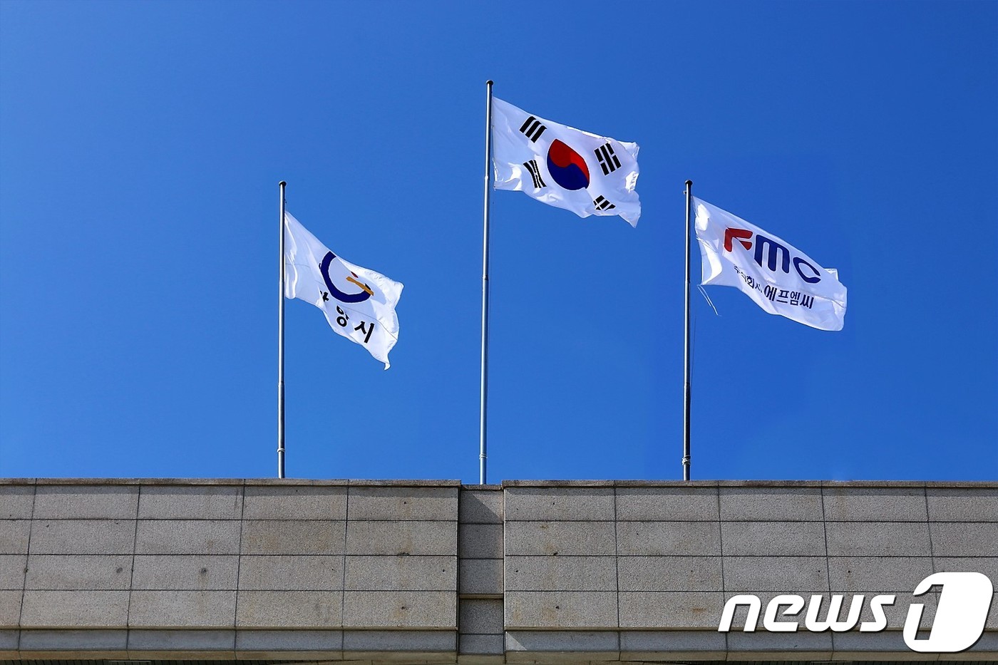 에프엠씨 이미지