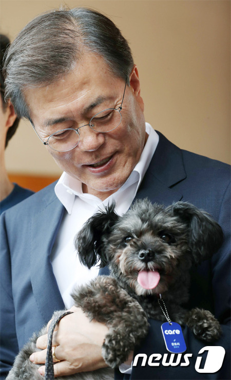 토리 이미지