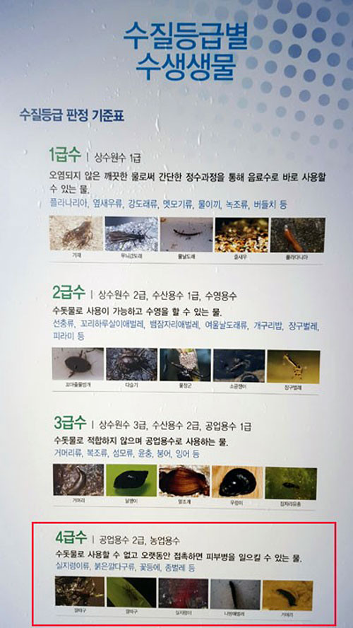 금강얼음 이미지