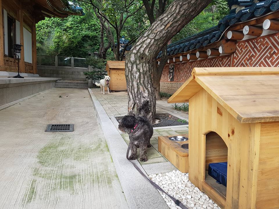 토리 이미지