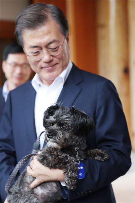 토리 이미지