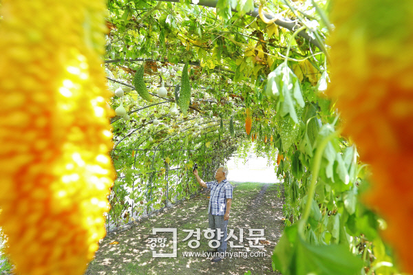 전주우리밀영농조합 이미지