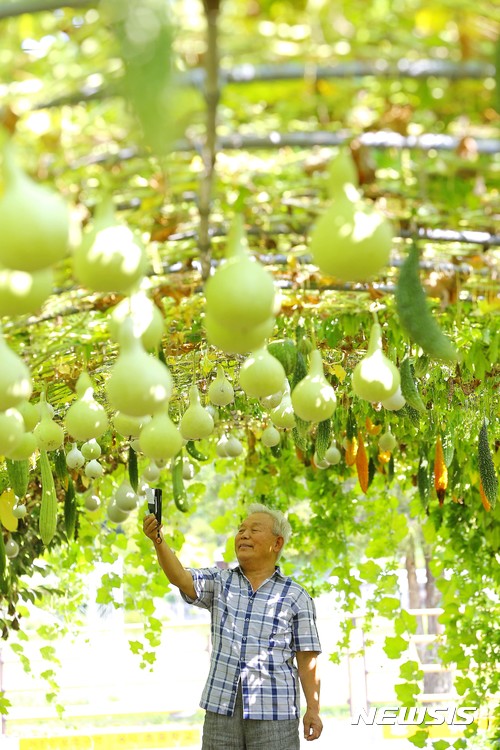 전주우리밀영농조합 이미지