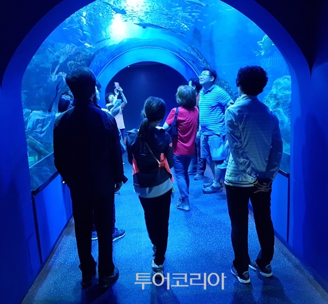 고기이야기 이미지