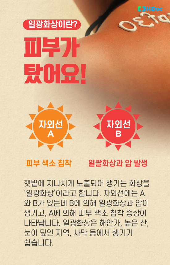 일광 이미지