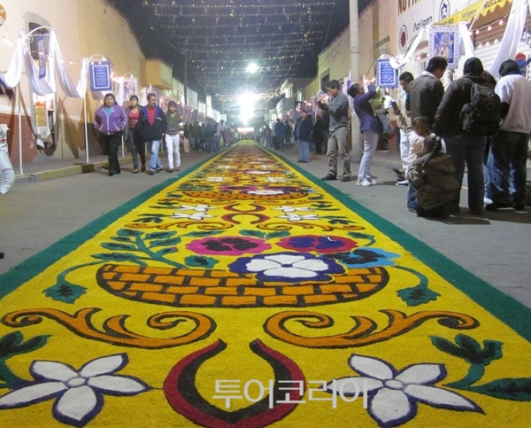 그꽃길 이미지