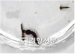 광릉산업개발 이미지