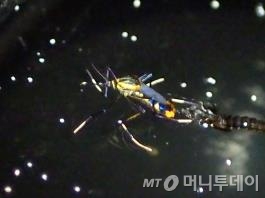 광릉산업개발 이미지