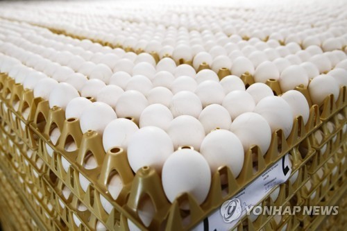 계란나라 이미지