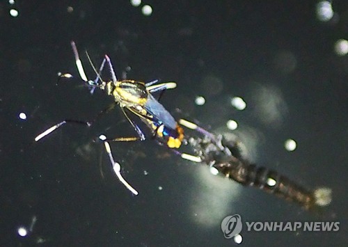 광릉산업개발 이미지