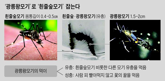 광릉산업개발 이미지