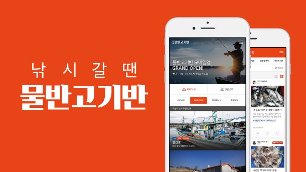 물반고기반 이미지