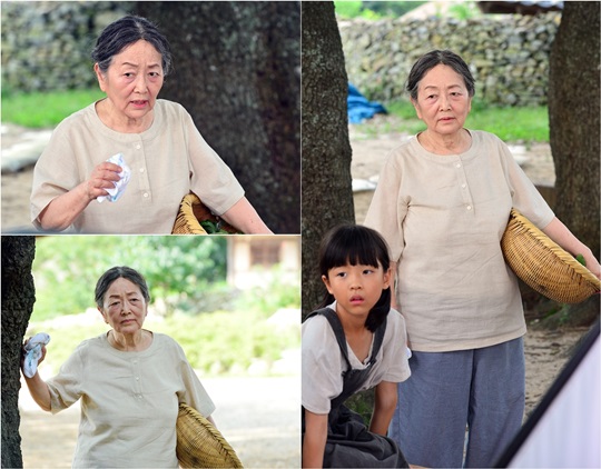 꽃피어라 이미지