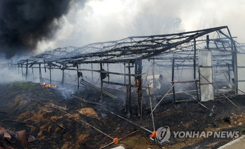 익산토종닭 이미지