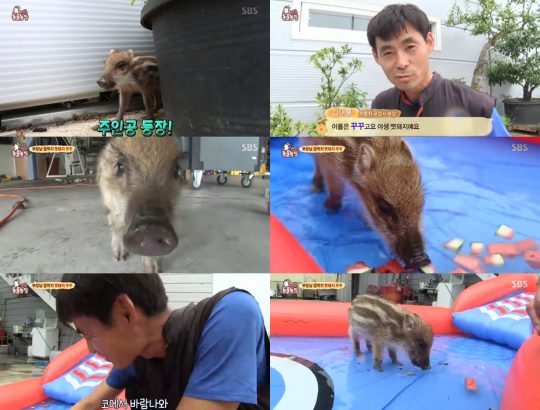 농장자동차공업사 이미지