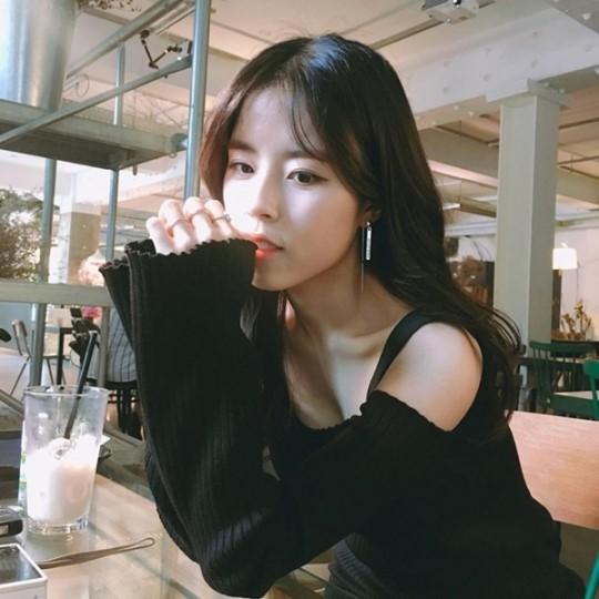 일진란제리 이미지