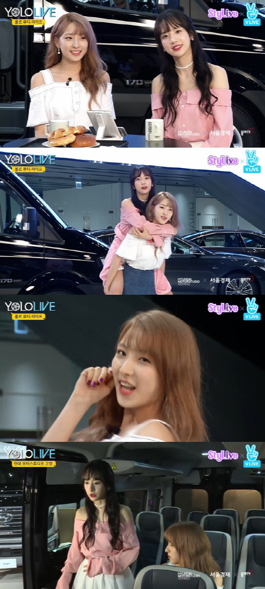 욜로종합관리 이미지