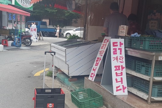 파동마트 이미지