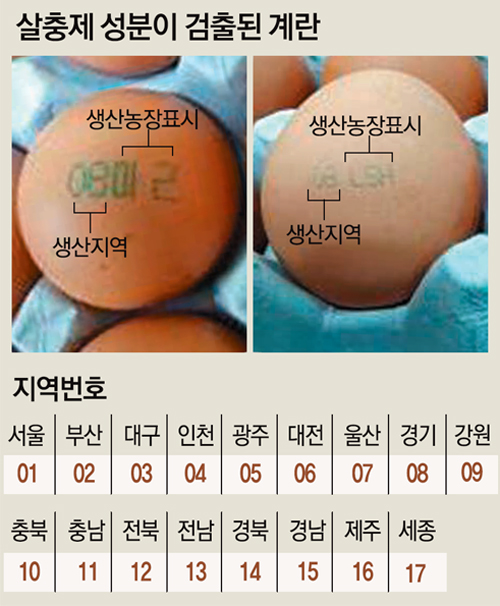 알닭치킨 이미지