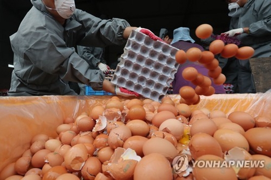 시온축산 이미지