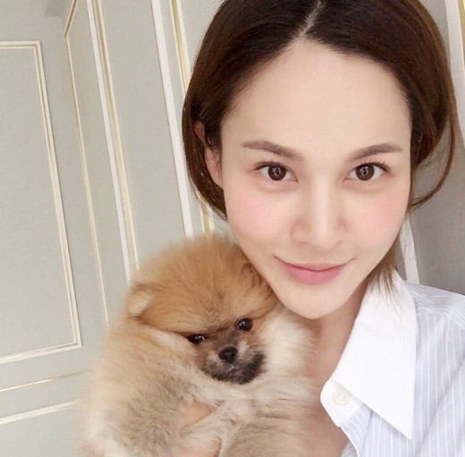 아이비 이미지