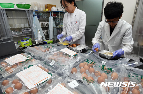 파동마트 이미지