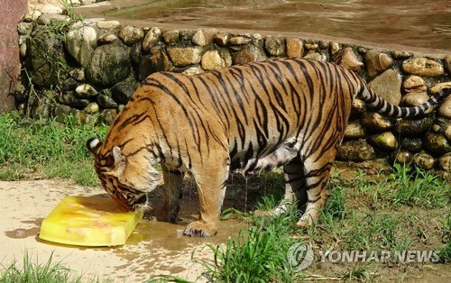 건인교육 이미지